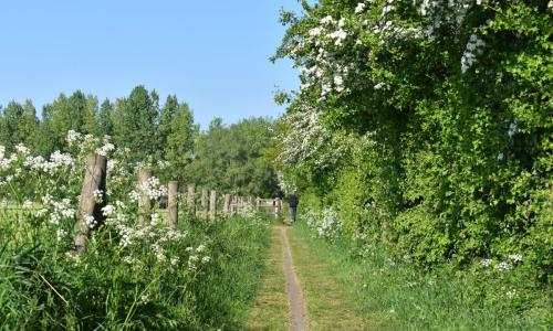 Welkom in jouw regionaal landschap