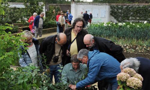 Vrijwilligers gezocht voor Museumtuin van Gaasbeek